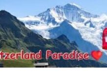 La sponda svizzera di Starbucks: commercio “equo” o elusione fiscale globale?