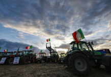 Il nuovo corso delle attività agricole: come viene tassato il reddito dell’imprenditore